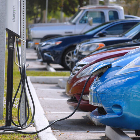 You made it to the jersey shore in your ev... Now what? - photo licensed by shore news network.