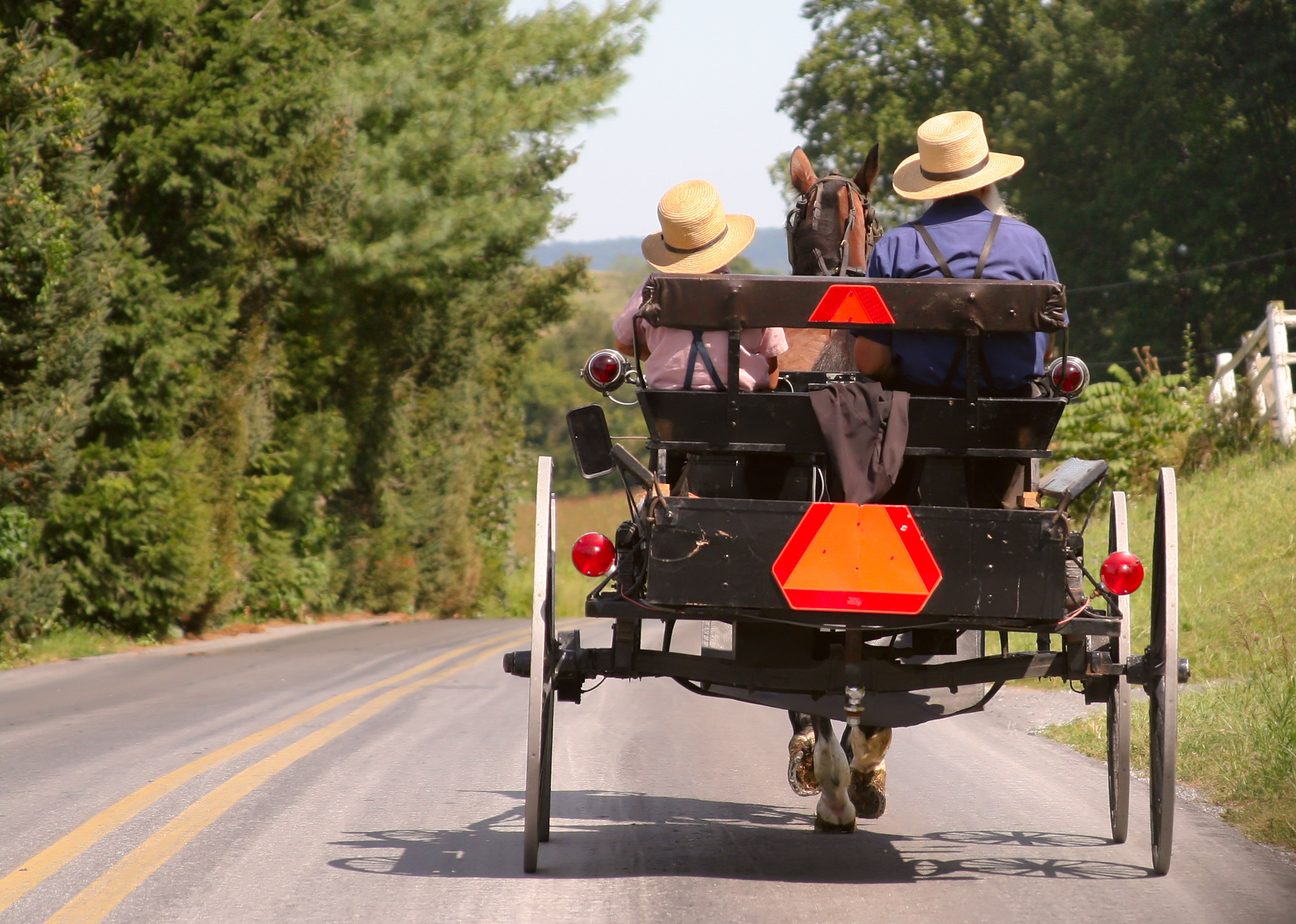 Increased Horse and Buggy Traffic Expected on Lancaster Roads for Ascension Day