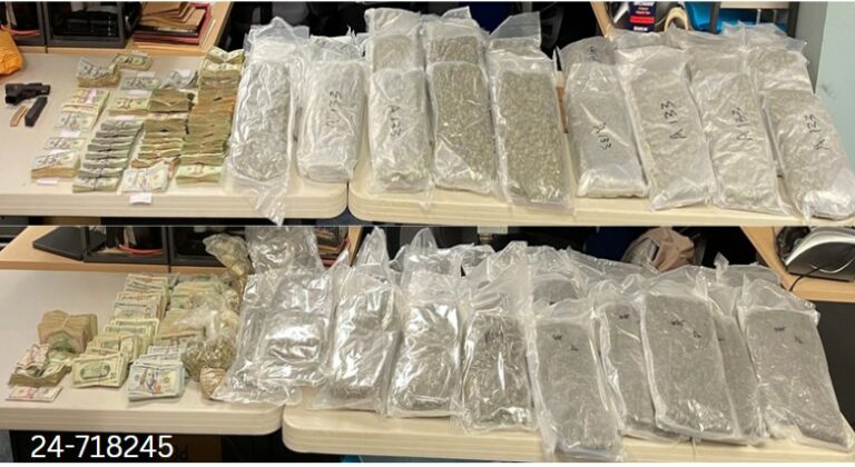 Father and son arrested for trafficking fentanyl and firearms - photo licensed by shore news network.