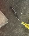 Crisis check turns violent as d. C. Police shoot man after he stabs officer