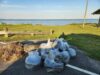 Newport news police and teens team up for community clean-up