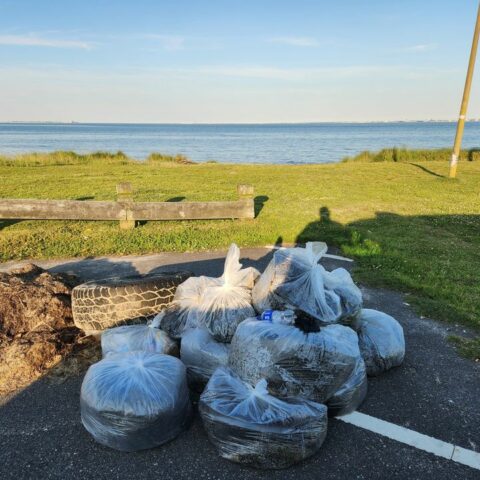 Newport news police and teens team up for community clean-up - photo licensed by shore news network.
