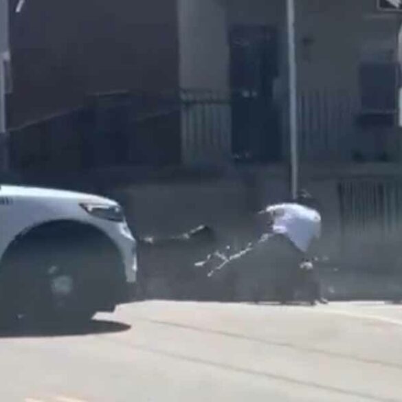 Philadelphia cop forced to shoot dog as it mauled victim during wild attack - photo licensed by shore news network.