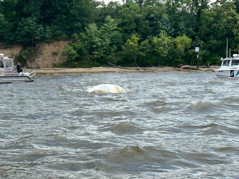 Tenth district volunteer fire department responds to vessel in distress on potomac river - photo licensed by shore news network.