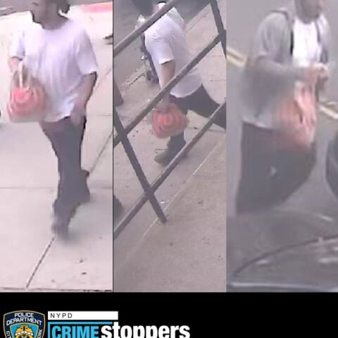 Police seek suspect in jewelry theft and assault on children in brooklyn - photo licensed by shore news network.