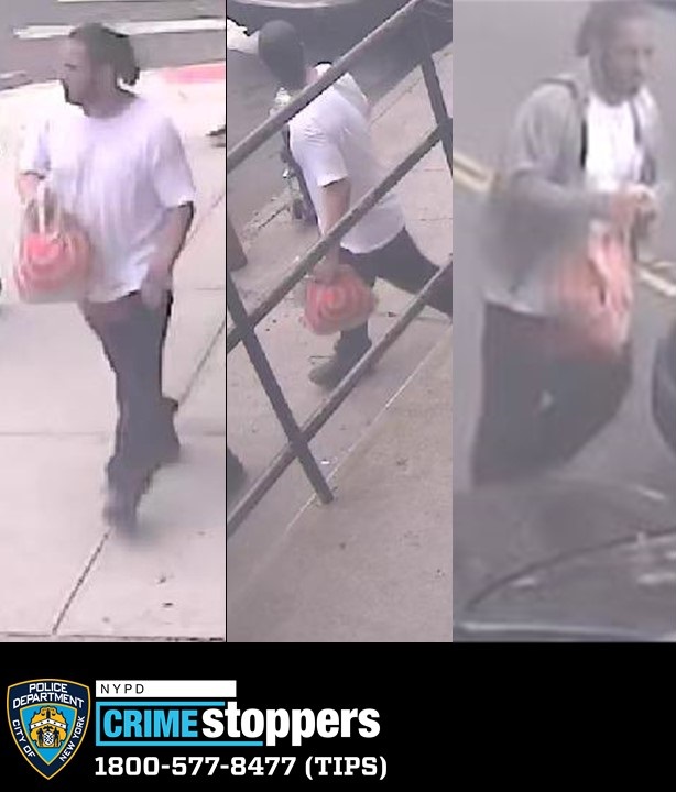 Police Seek Suspect in Jewelry Theft and Assault on Children in Brooklyn
