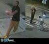 Nypd investigates egg-throwing incident as potential hate crime