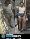 Purse snatching and assault incident in the bronx