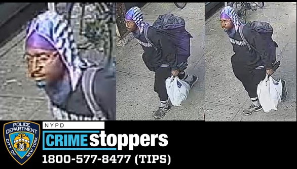 NYC Police Seek Suspect in Assault and Robbery on Southbound A Train