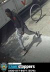 Subway thief sought in nyc