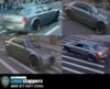 Police seek suspect in bronx hit and run