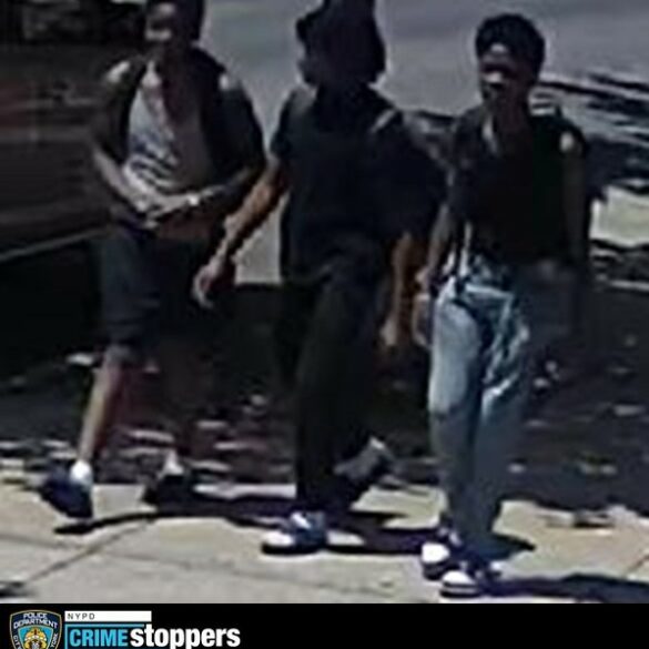 Broad daylight robbery in the bronx - photo licensed by shore news network.