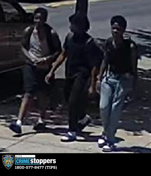 Broad Daylight Robbery in the Bronx