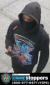 Police investigating after reports of gunfire in the bronx