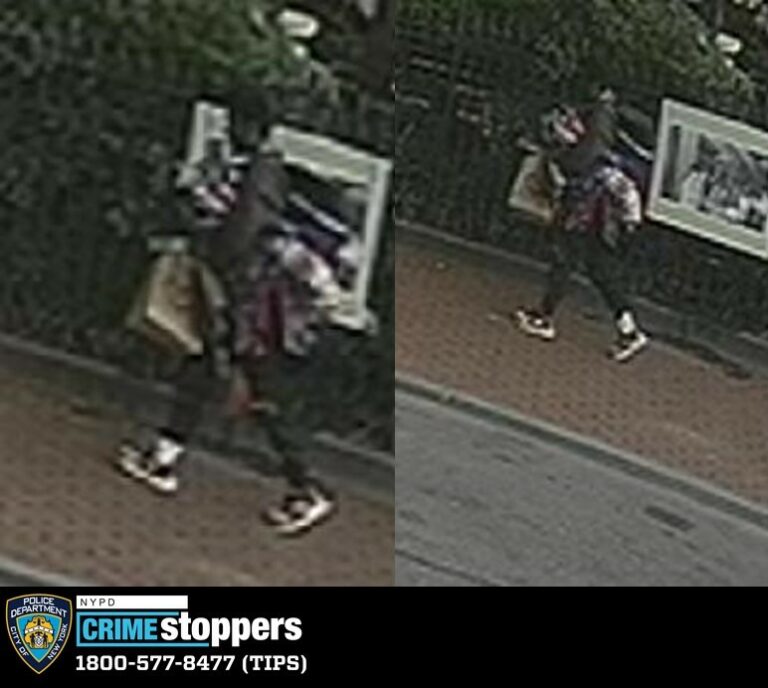 Nypd comb city for suspect in pride flag theft - photo licensed by shore news network.