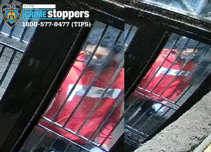 Uber Driver Assaulted in Robbery Attempt, Suspects Sought