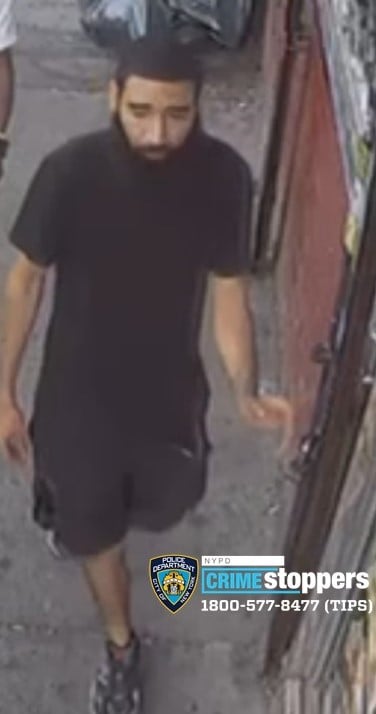 Dog Stolen in Broad Daylight in New York City Dog Stolen in Broad Daylight in New York City