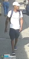 Wanted: purse snatcher attacks woman in the bronx