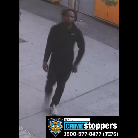 Gun brandished in attempted armed robbery in bronx - photo licensed by shore news network.