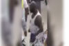 Philadelphia police seek public's assistance in identifying assault suspect