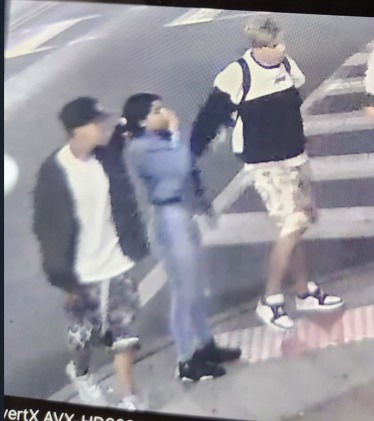 North Plainfield Police Seek Help Identifying Assault Suspects