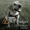 Maryland officials mourn the loss of beloved nrp k-9 badger