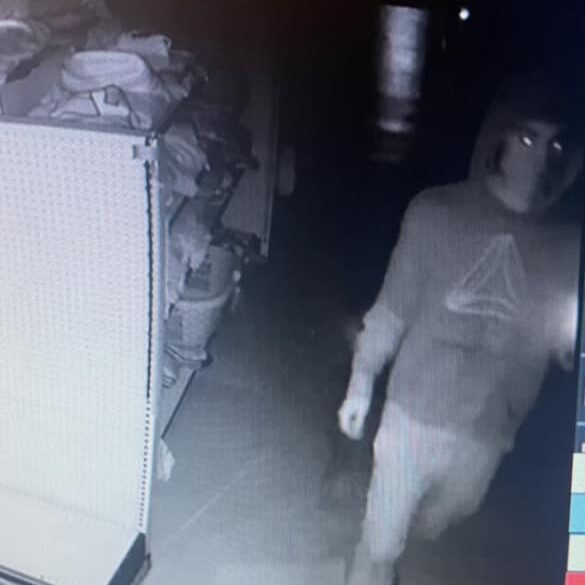 Do you know them? Police searching for burglary suspects in norfolk - photo licensed by shore news network.