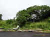 Broken-guard-rail-file-photo