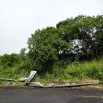Broken-Guard-Rail-File-Photo