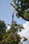 Tornado confirmed in new jersey by national weather service