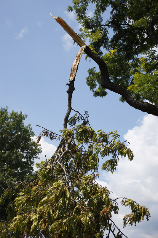 Tornado Confirmed in New Jersey by National Weather Service