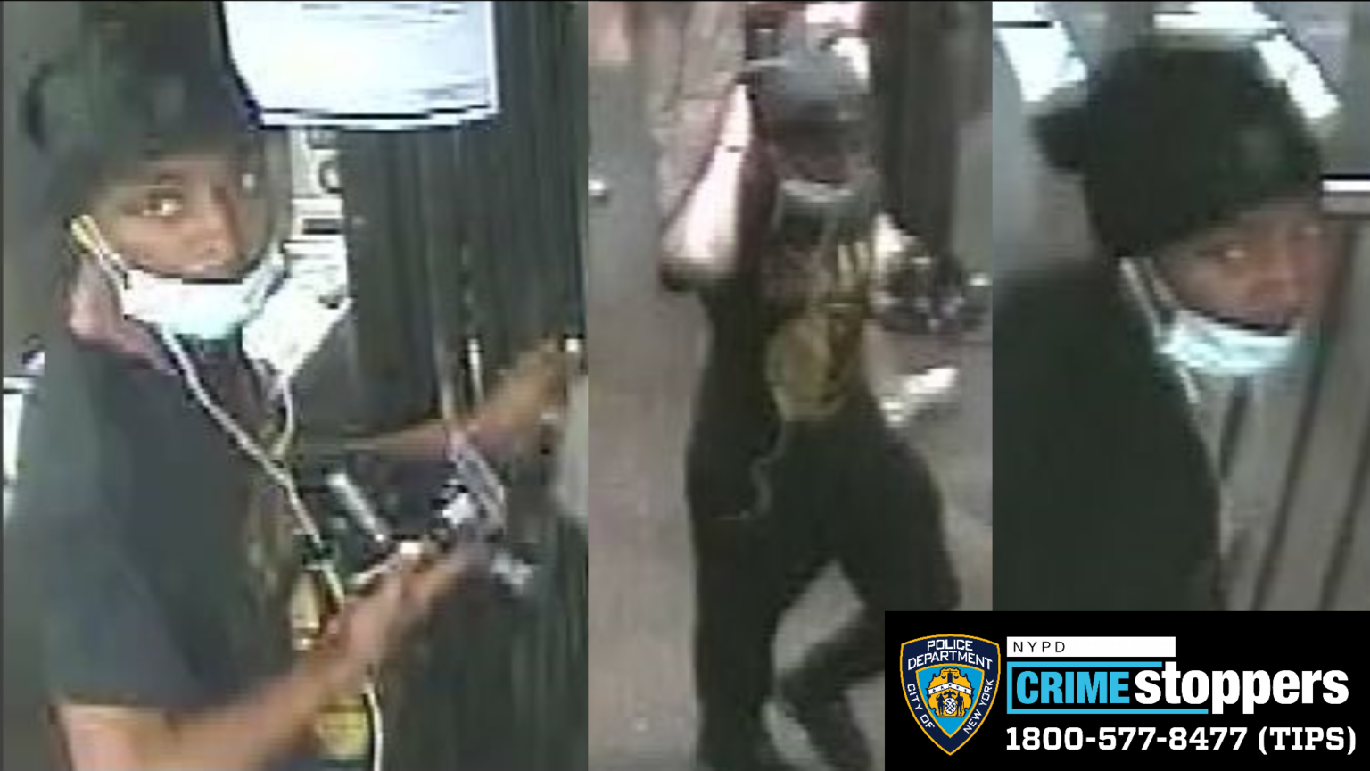 NYPD Seeks Public Help to Identify Suspect in Central Park Grand Larceny