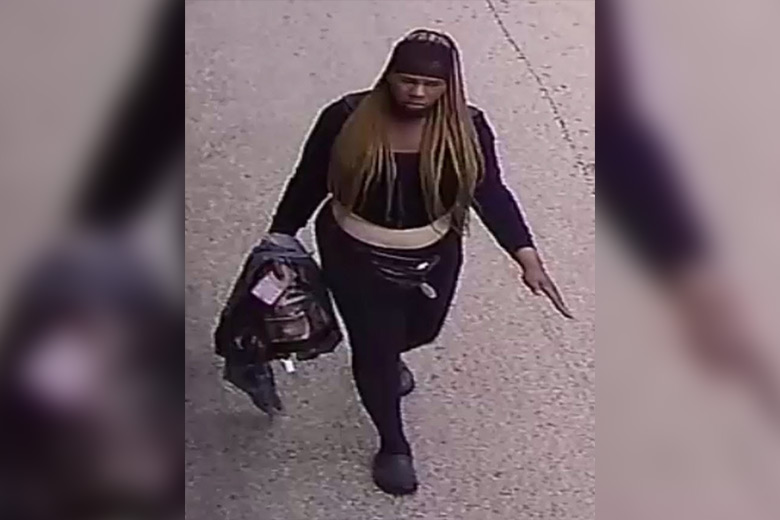 Philadelphia Police Seek Suspect in Waldorf School Burglary and Vandalism