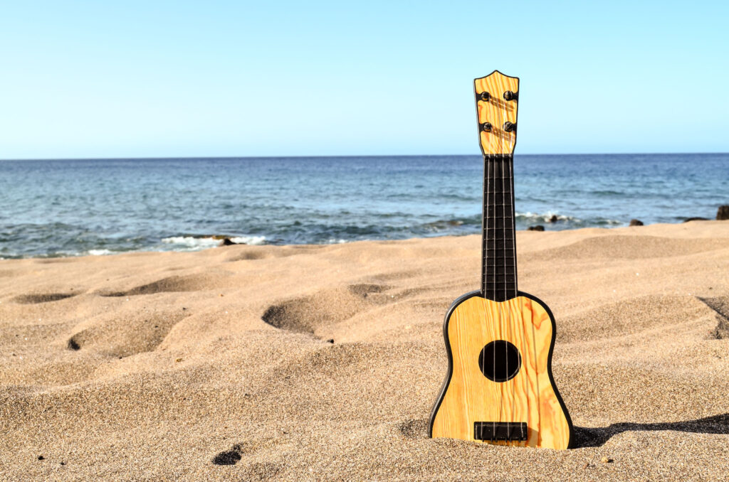 Free Summer Concert Series Announced at Shelter Cove Beach in Toms River