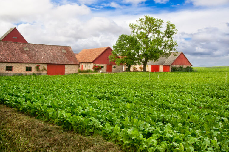 New valuation formula to enhance farmland preservation efforts in new jersey - photo licensed by shore news network.
