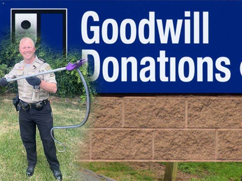 Snake More Than Customers Bargained for at Virginia Goodwill Store