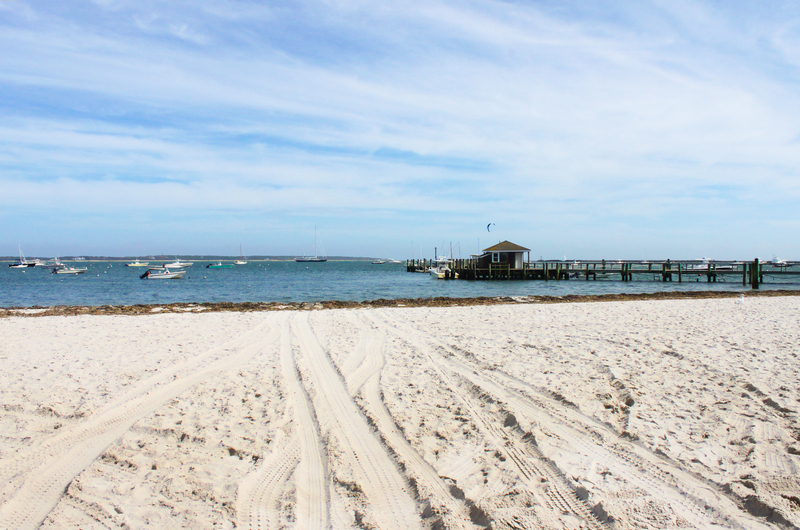 Illegal Fugitive Told Police He Was Pedro Martinez from Boston After Exposing Himself on Beach