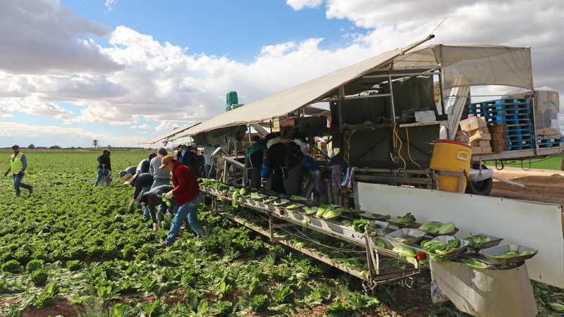 New Jersey Bill Would Make it Ilegal for Businesses to Report Illegal Immigration