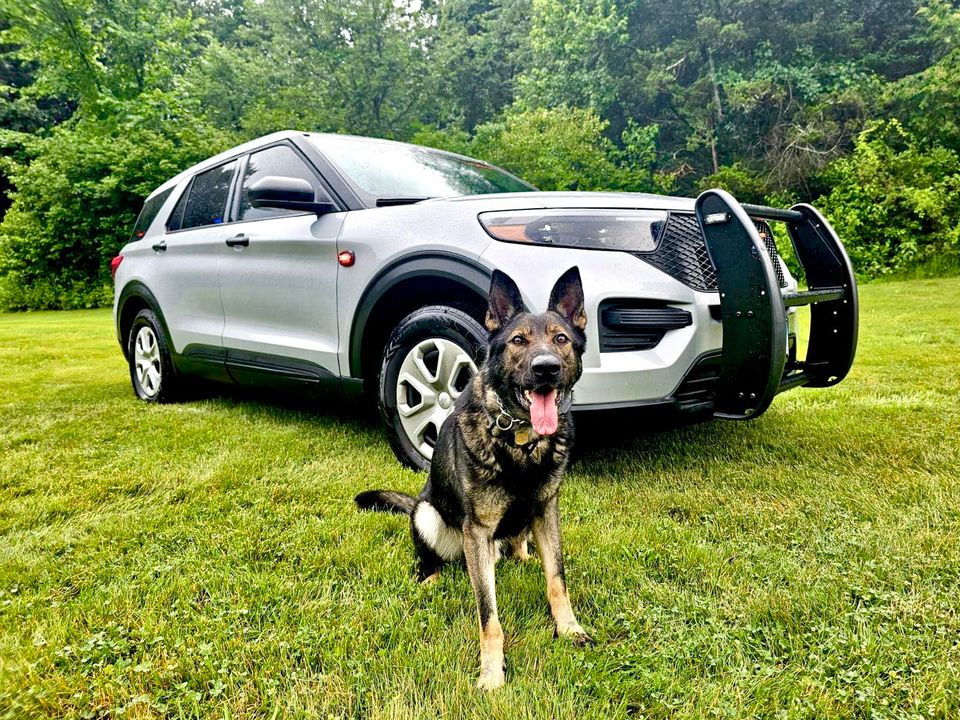 K9 Cop Helps Connecticut Police DUI Driver Responsible for Multiple Crashes