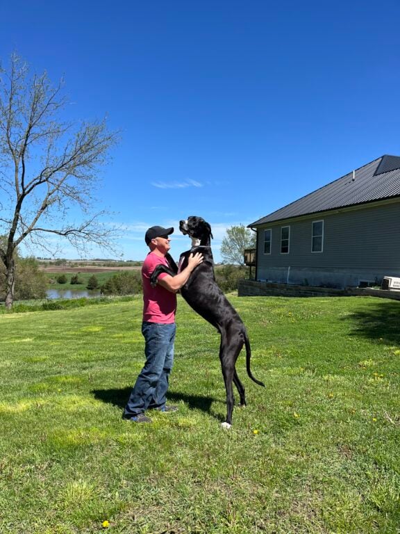 Meet Kevin, The World’s Tallest Dog Ever