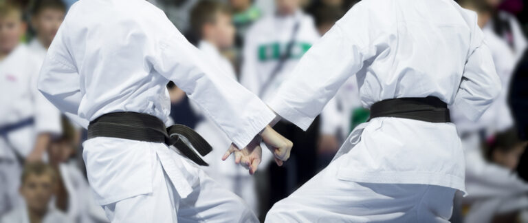 Summer karate classes for kids in toms river - photo licensed by shore news network.