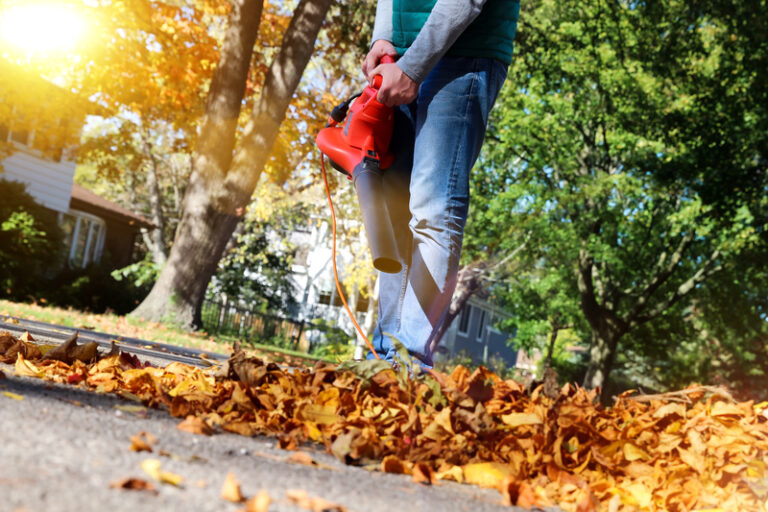 Criticism mounts over new jersey's proposed leaf blower ban - photo licensed by shore news network.