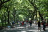 Police seek suspect in grand larceny case in central park