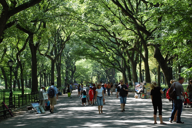 Police seek suspect in grand larceny case in Central Park