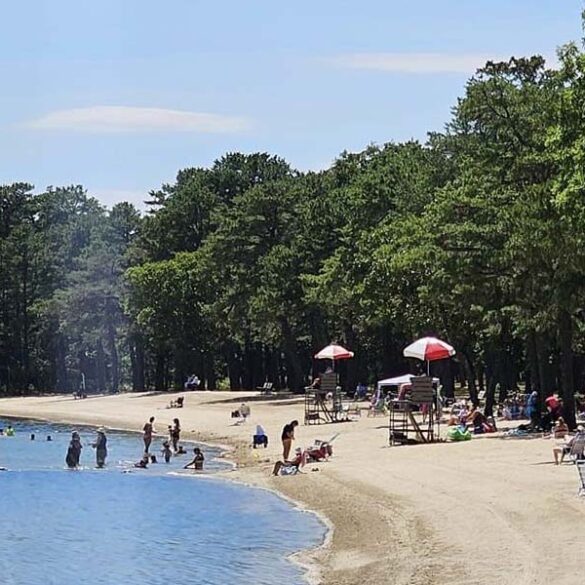 Mayor arace says, stay cool this summer at harry wright lake and park - photo licensed by shore news network.