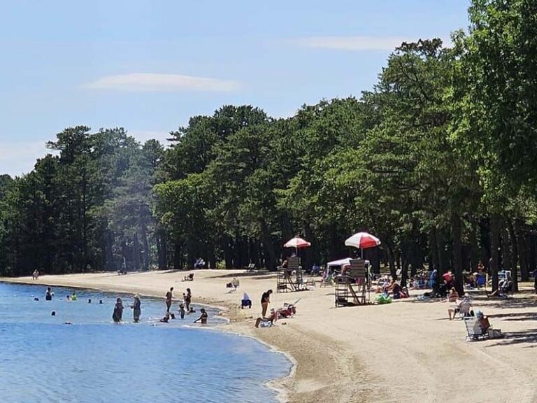 Mayor arace says, stay cool this summer at harry wright lake and park - photo licensed by shore news network.