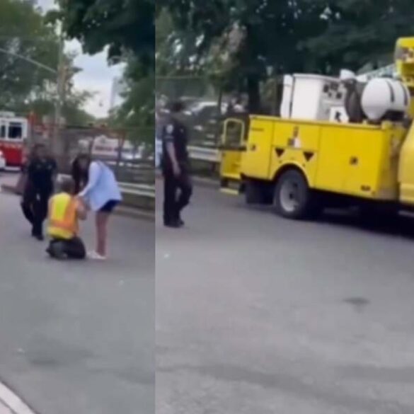 Nyc mafia cake boss decapitated by dot truck - photo licensed by shore news network.