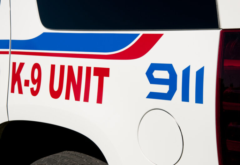 Police k-9 dies after being left overnight in hot cop car - photo licensed by shore news network.