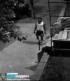 Bronx woman assaulted and raped by home invader