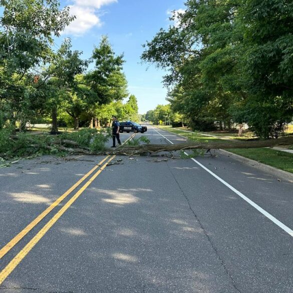 Robbinsville roadway cleared after tree fall - photo licensed by shore news network.